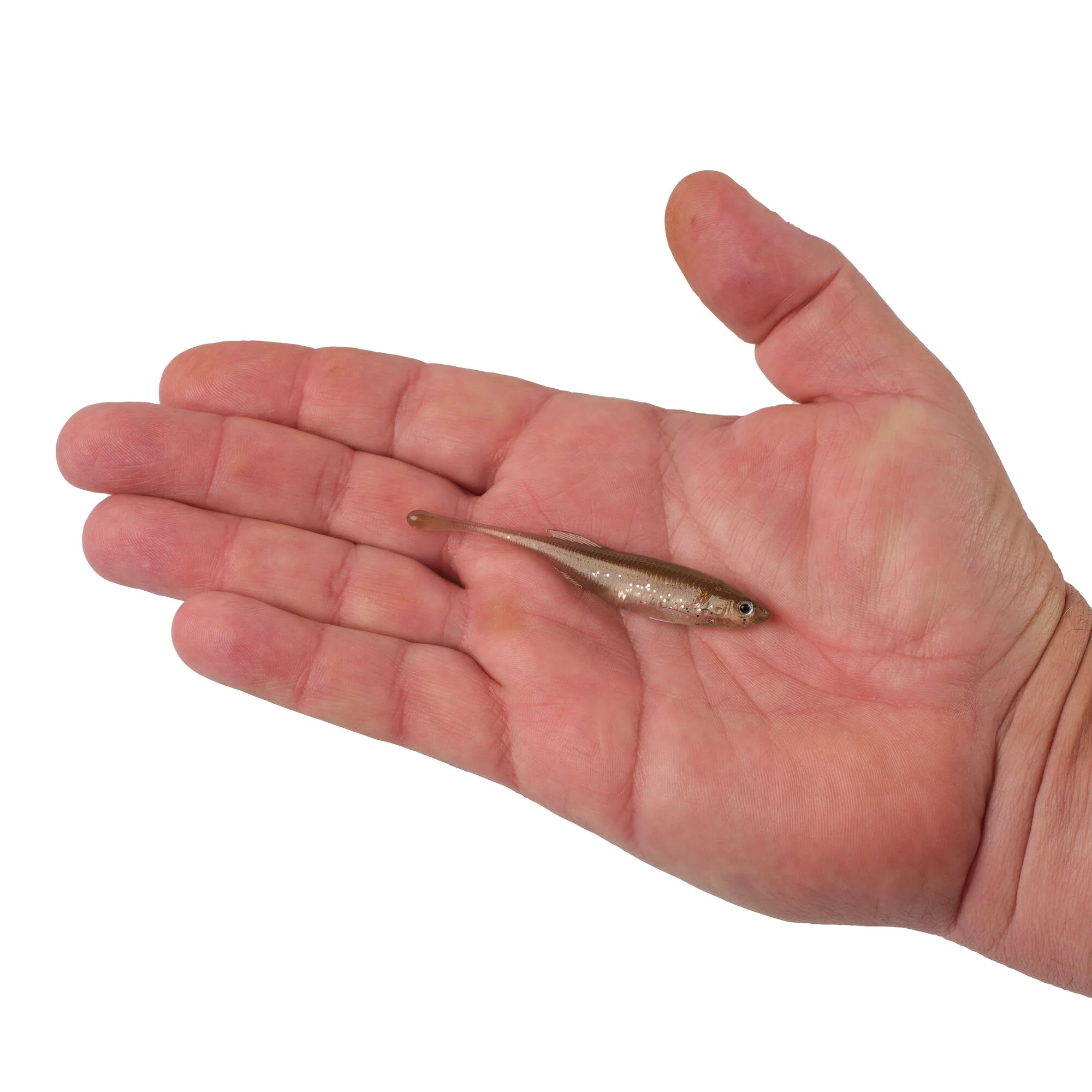 Product image 112