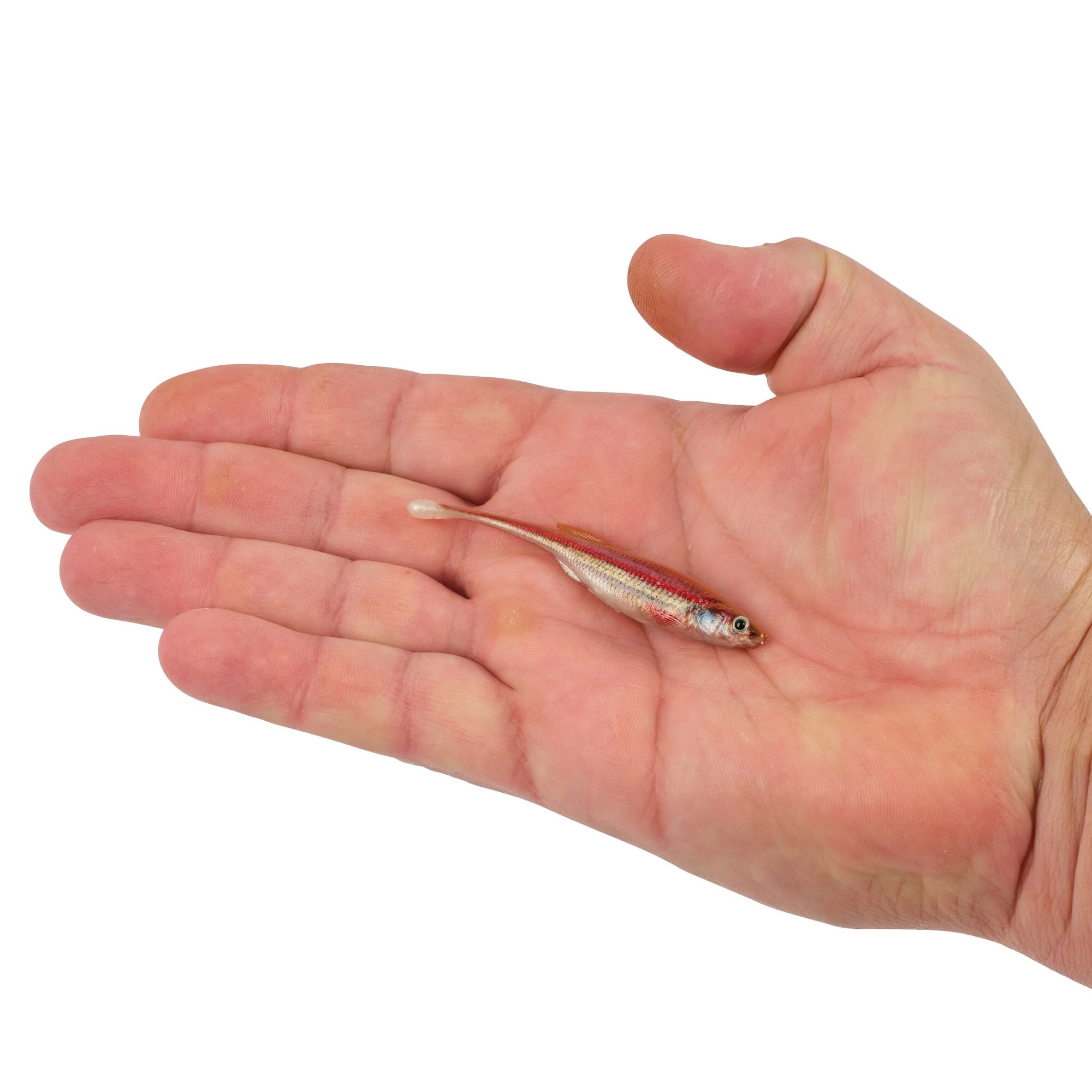 Product image 81