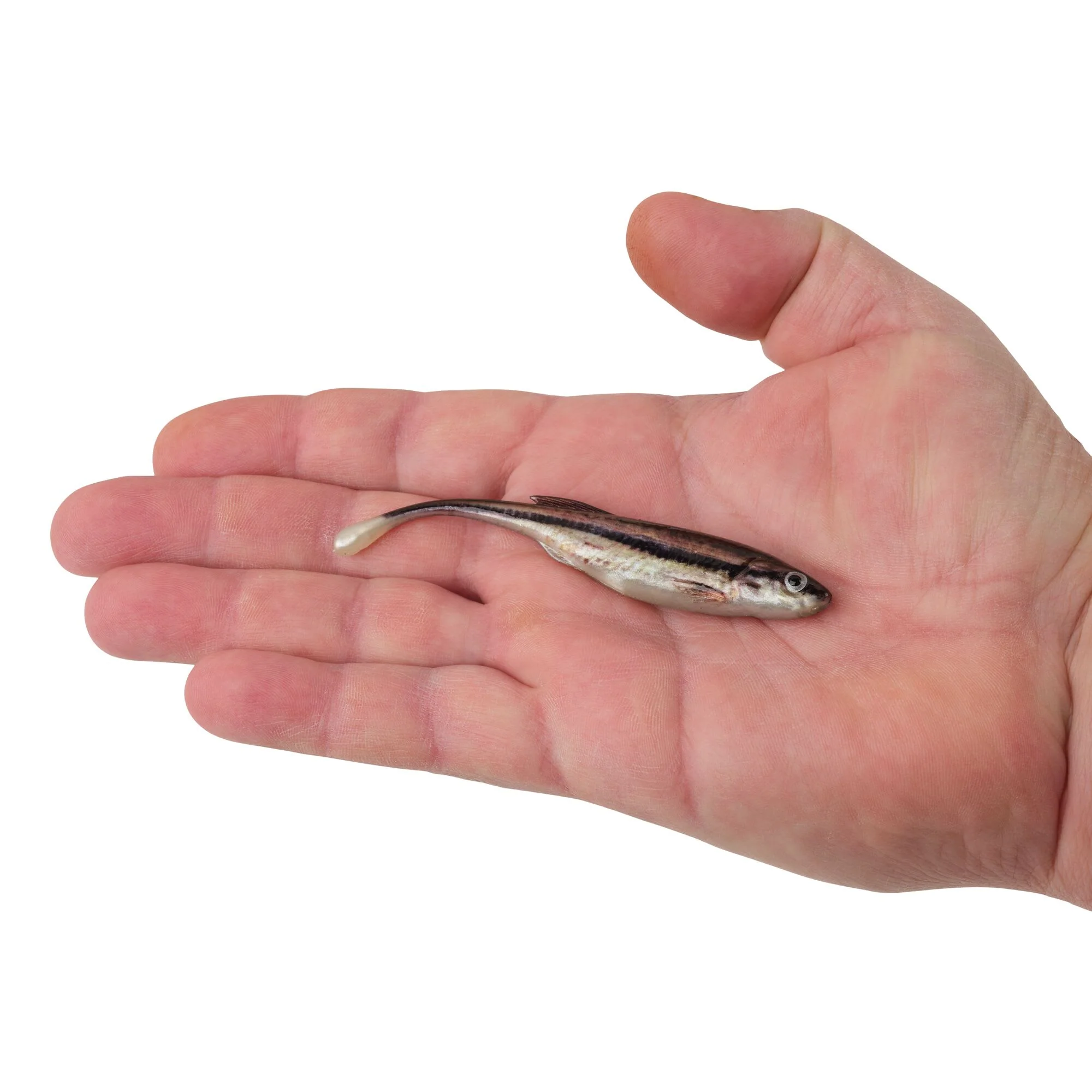 Product image 93