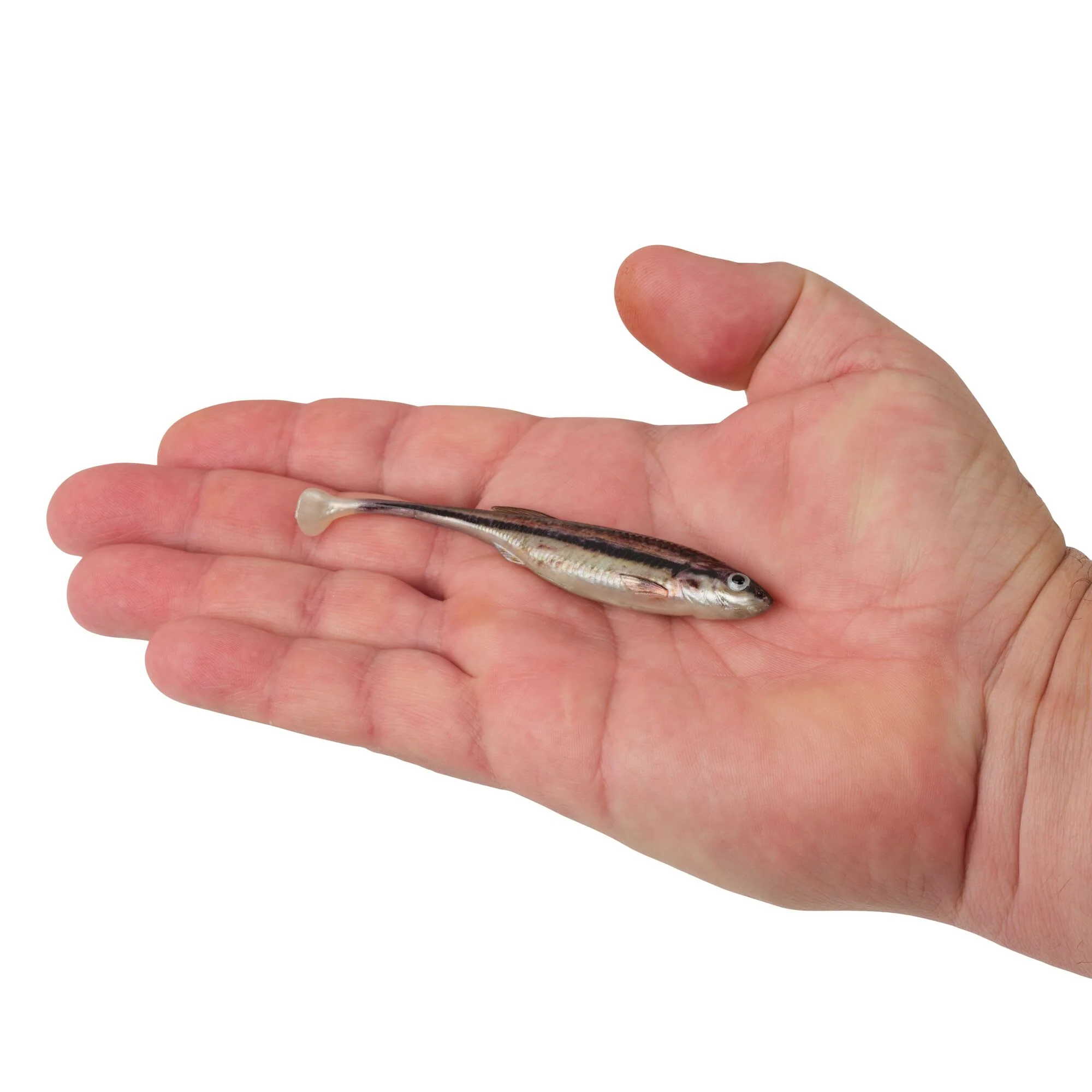Product image 66